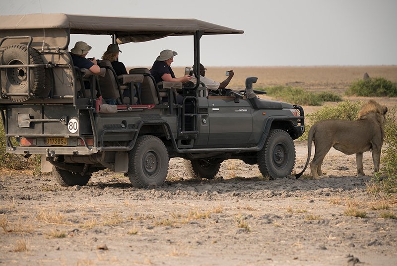 Safari game drive in Botswana